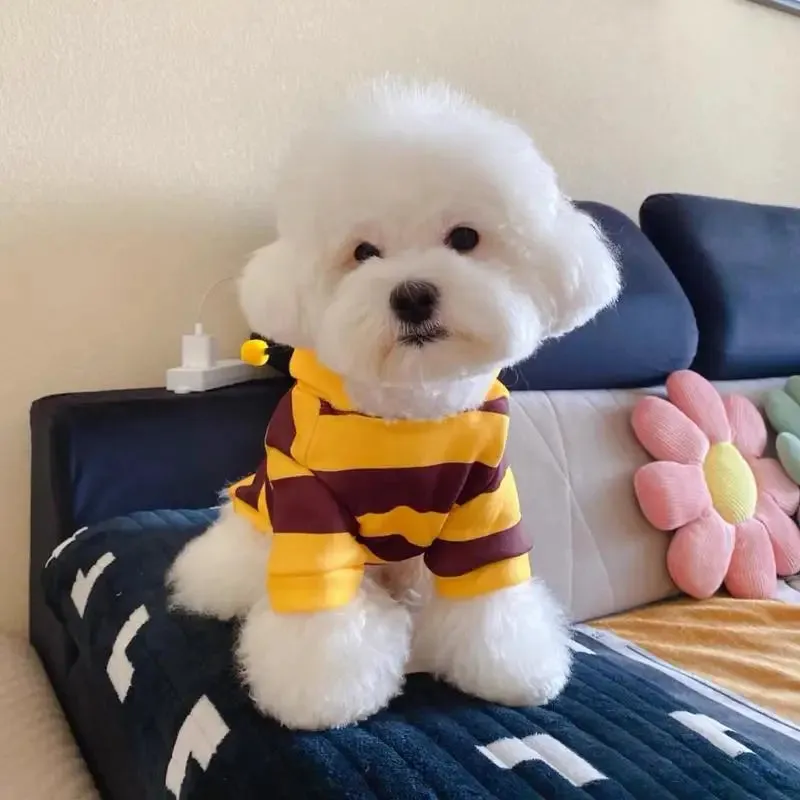 Halloween Bee Hoodie