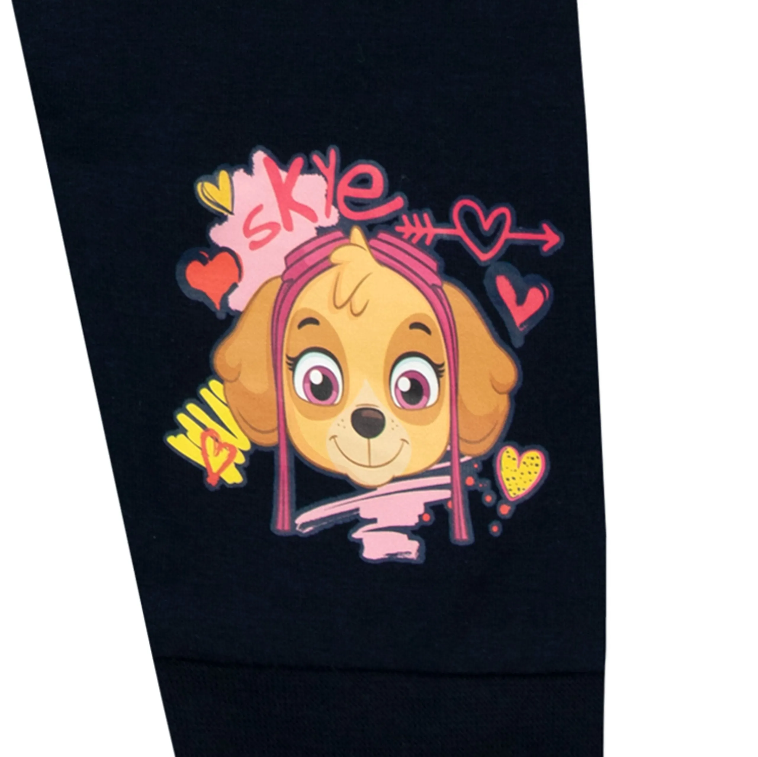 Paw Patrol Pajamas - Everest and Skye